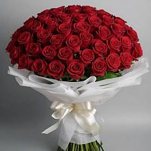 Букет 101 Красная роза Блэк Мэджик в Плесе