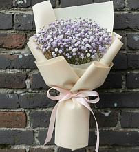 Букет цветов из:  Гипсофила в Плесе