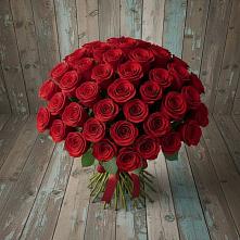Букет 55 Красных роз Фридом #REPLACE_PRED# Плесе