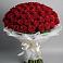 Букет 101 Красная роза Блэк Мэджик в Плесе