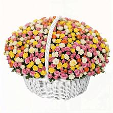 Премиум букет из: Розы в Плесе