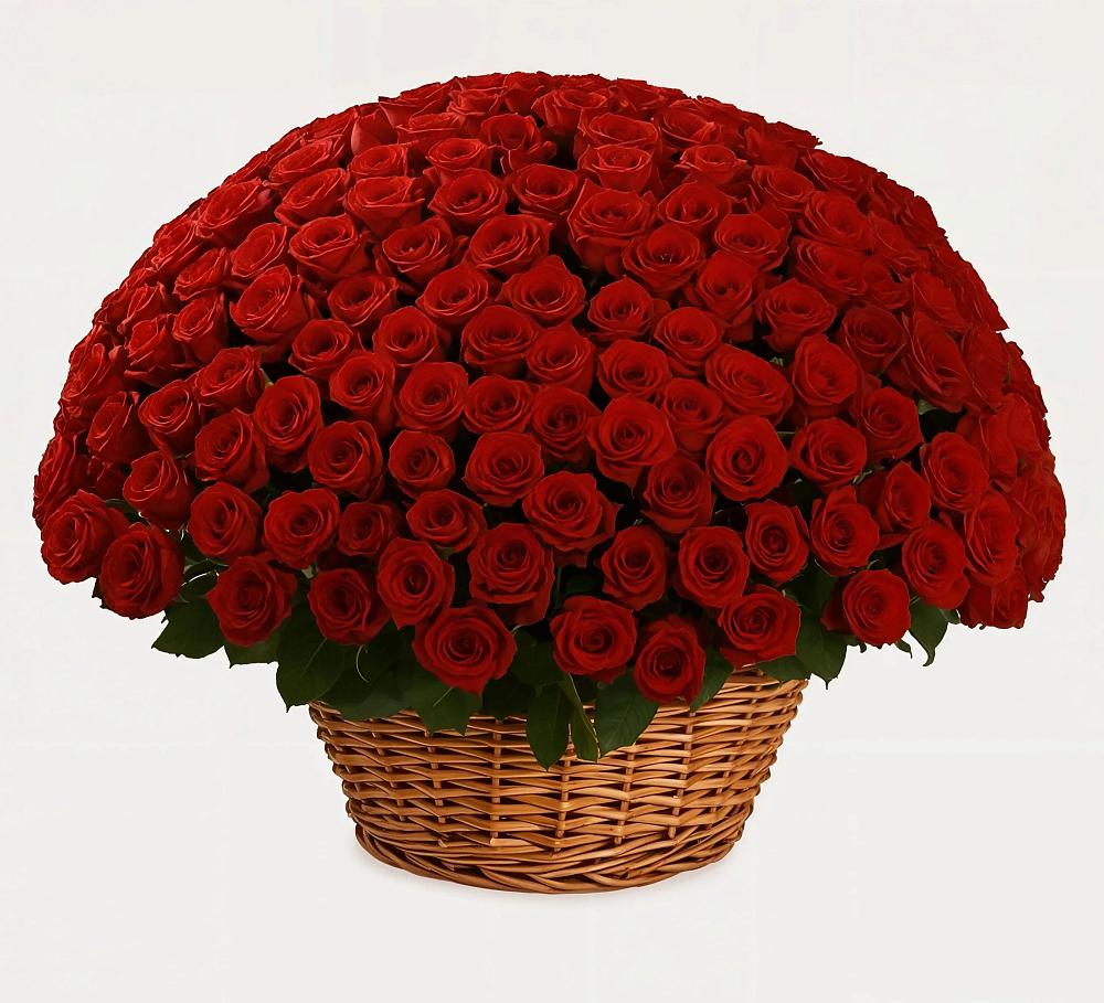 Премиум букет из: Розы в Плесе