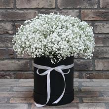Цветочная композиция из Гипсофила в шляпной коробке #REPLACE_PRED# Плесе