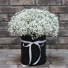 Цветочная композиция из Гипсофила в шляпной коробке в Плесе