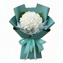 Букет цветов из:  Гортензия в Плесе
